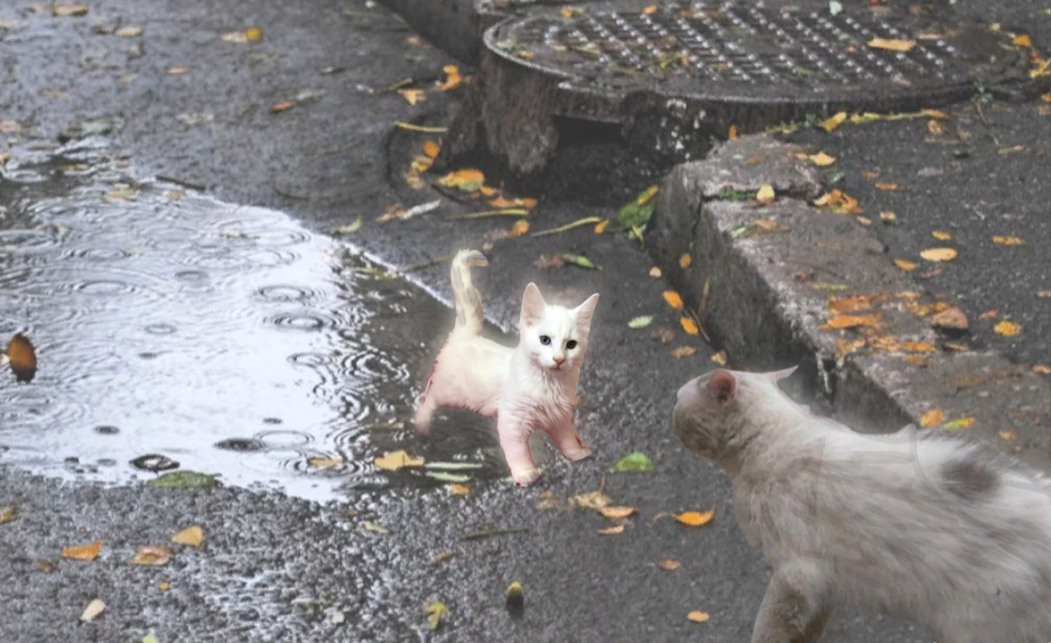 Вот уж правда, непростой денёк выдался у Принца Буси