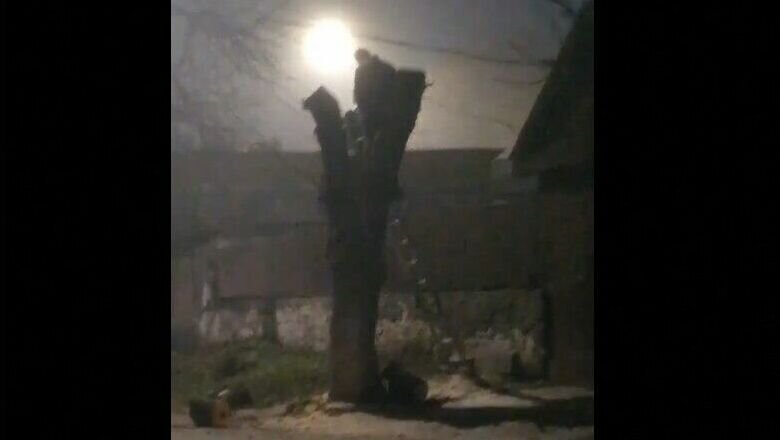     Администрация Кисловодска проверит законность рубки дерева в ночное время, сообщил глава города Евгений Моисеев в своем телеграм-канале.