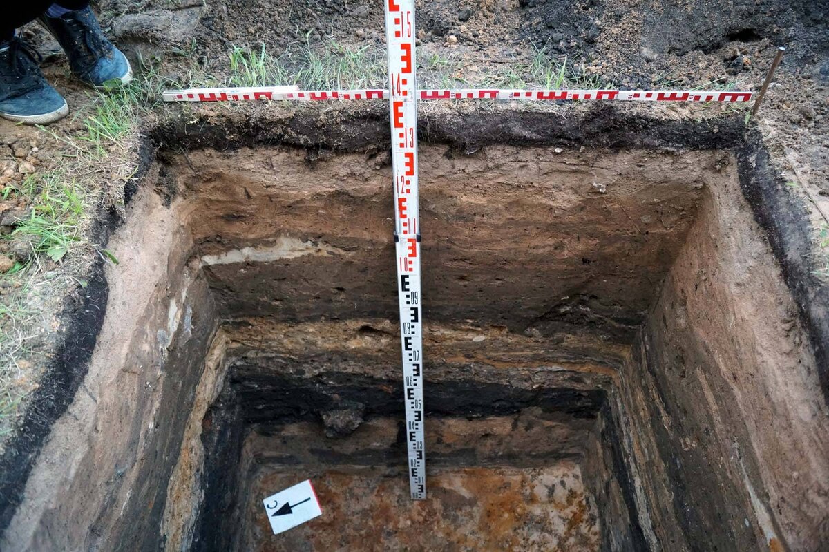 Источник Яндекс картинки.