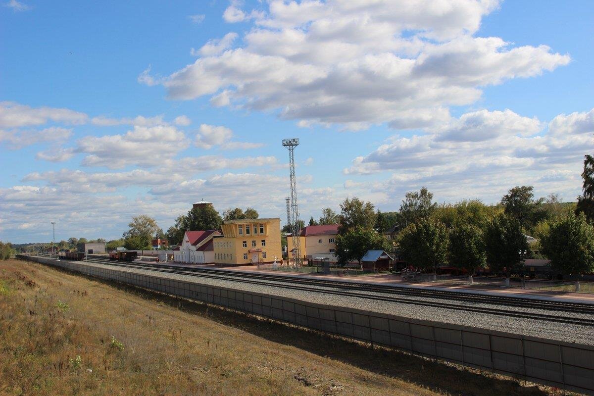 Вид на станцию с пешеходного моста.