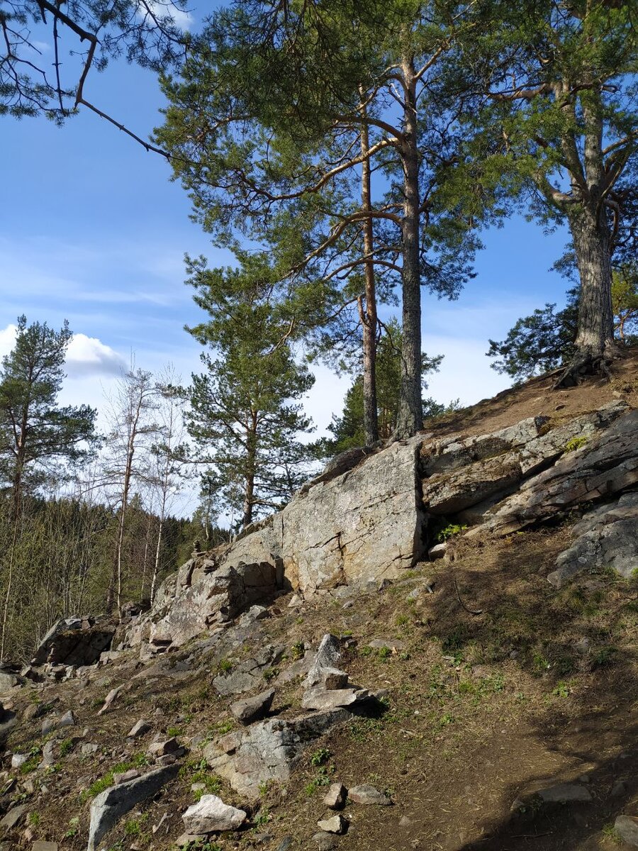 паасо гора в карелии