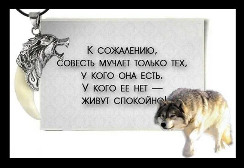 Есть ее. Цитаты про совесть. Статусы про людей у которых нет совести. Прикольные фразы про совесть. Человек без совести цитаты.