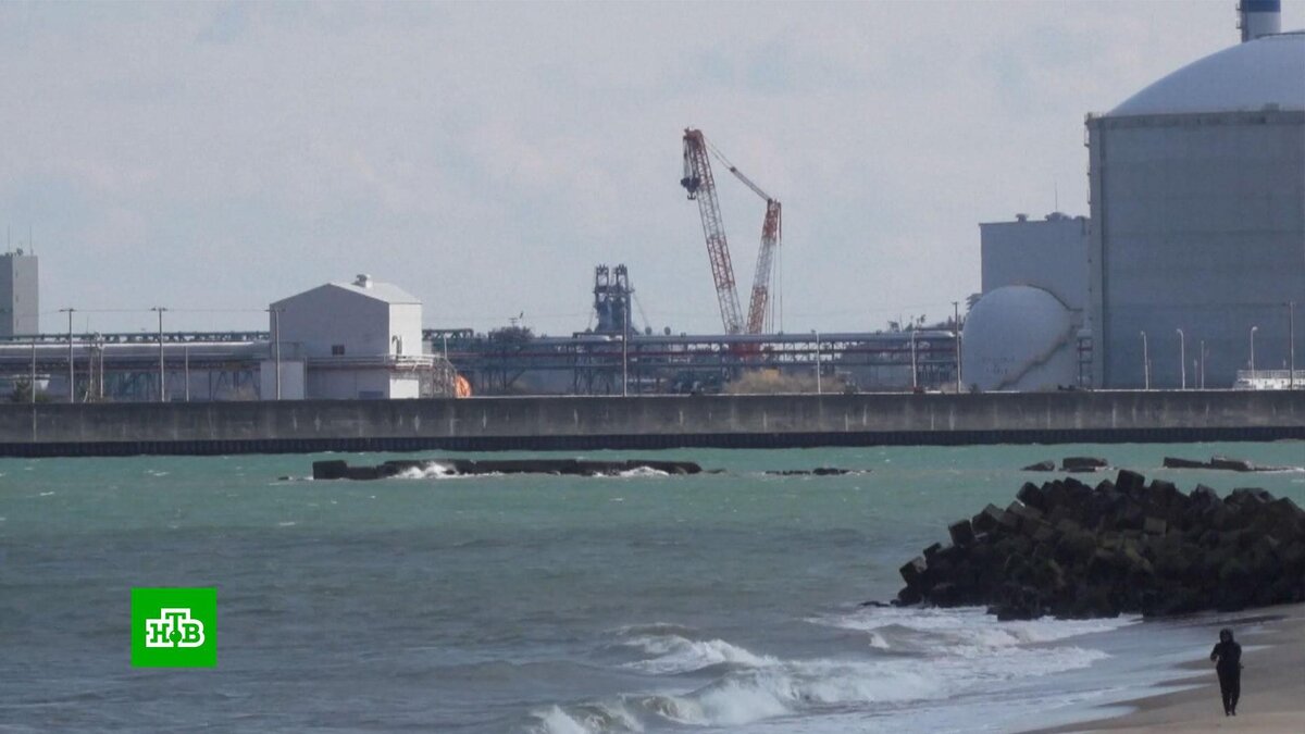      «Кто-то    заболеет и умрет»: чем опасен сброс воды с АЭС «Фукусима»