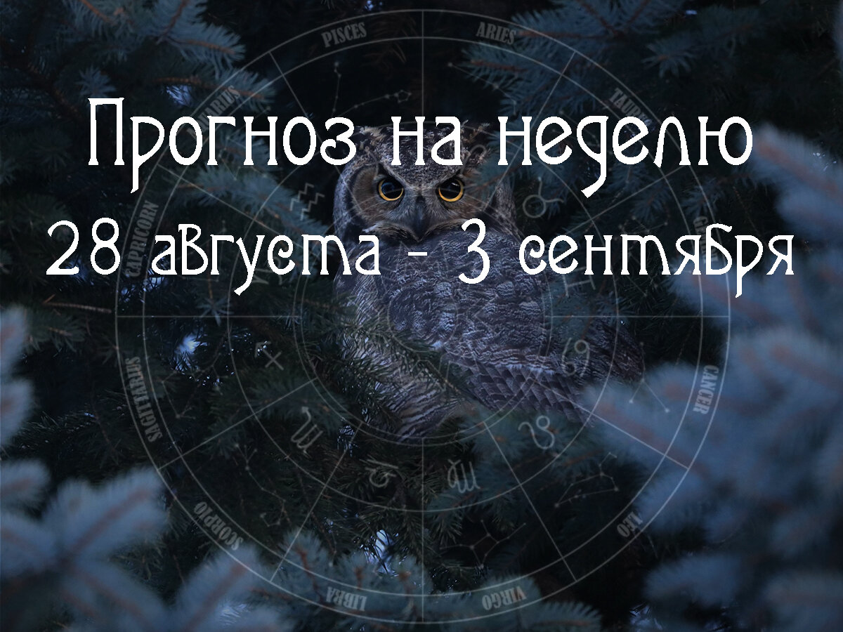 Астрологический прогноз на 28 августа – 3 сентября 2023 года