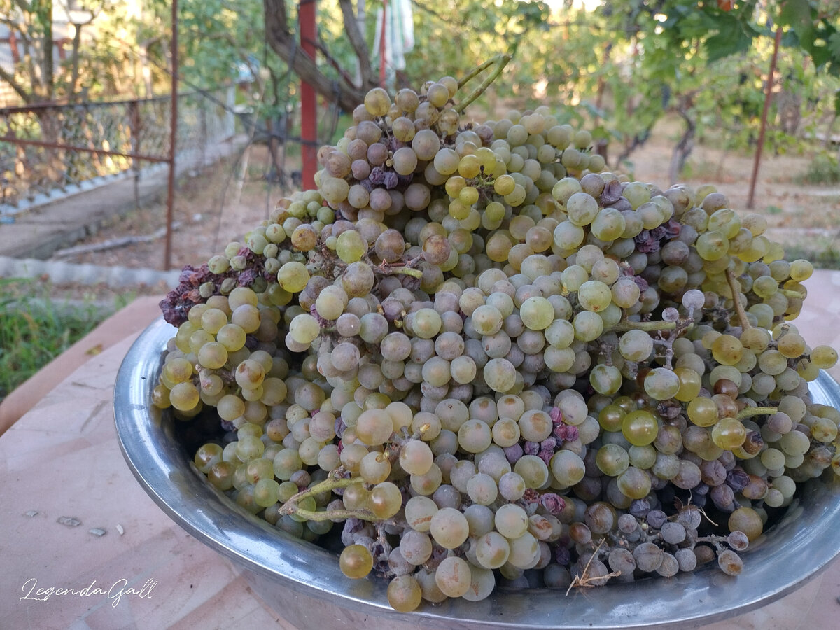 Снова полный таз