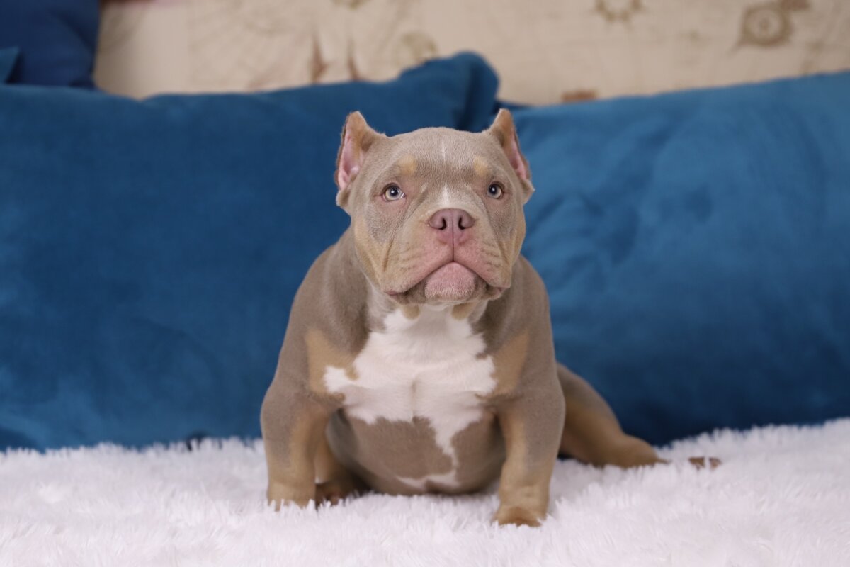 Малыш в детстве