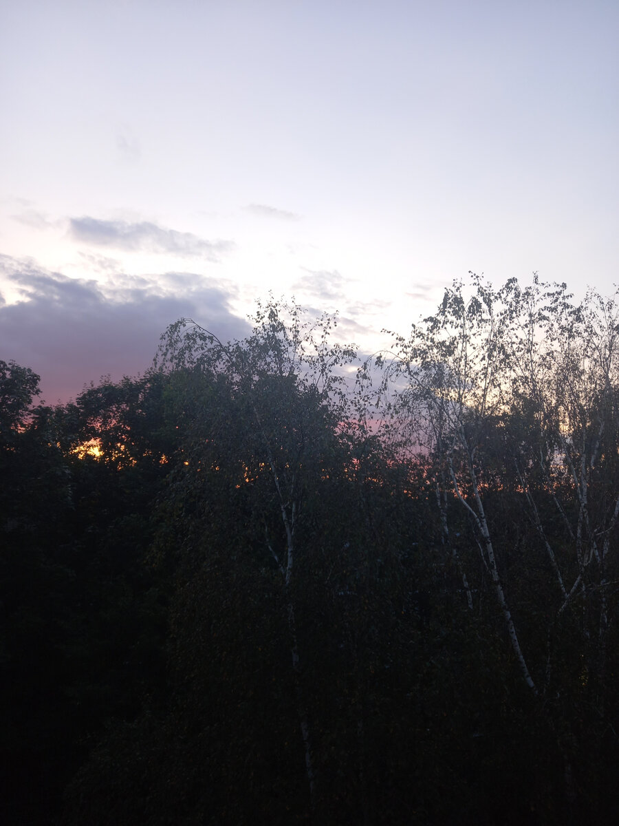 Фото автора канала