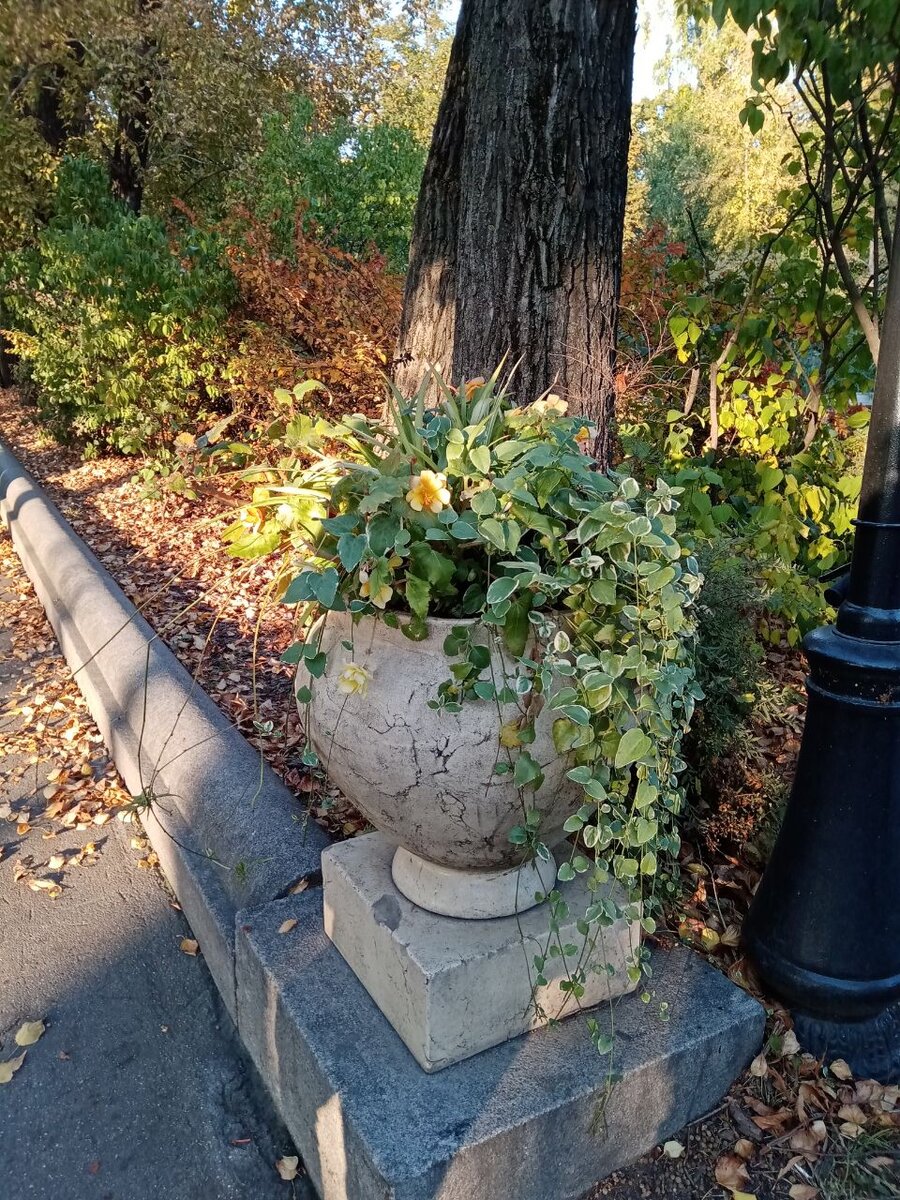 В парках Москвы.