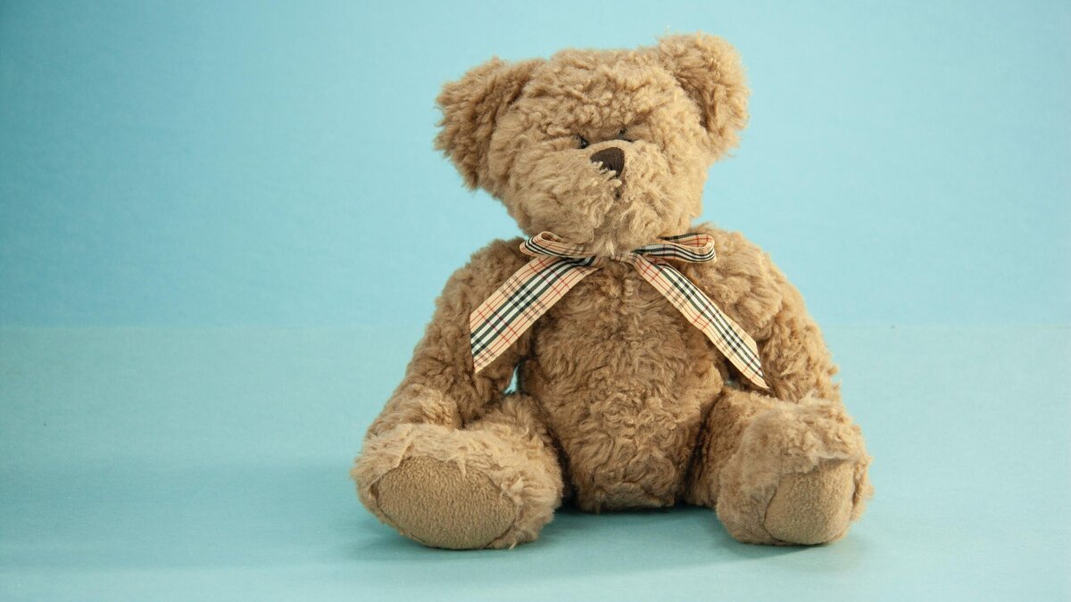    Назван лучший способ обеззаразить плюшевые игрушки: и это не стирка© Unsplash | Laårk Boshoff