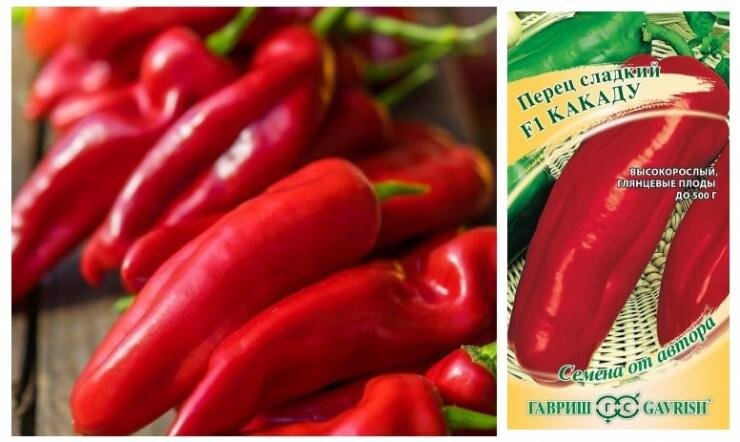 Какаду красный