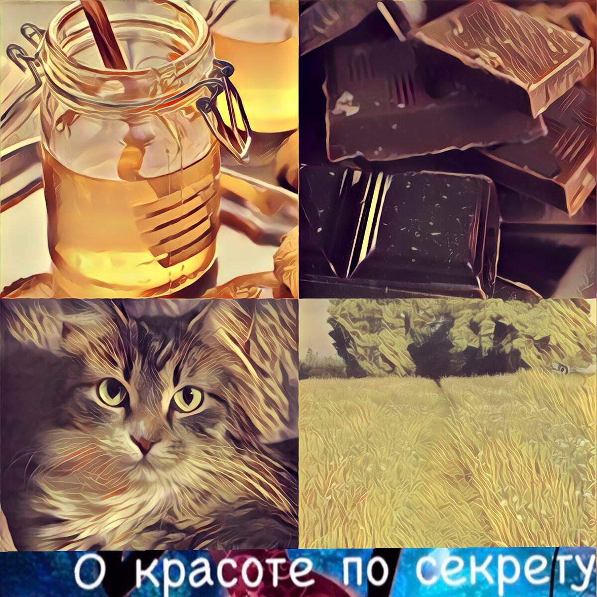 Подпишитесь на канал и ставьте лайк, вы поможете развитию канала!