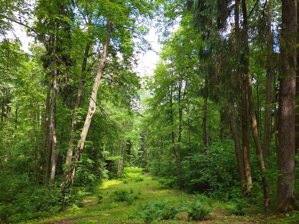 фото автора Елены М.