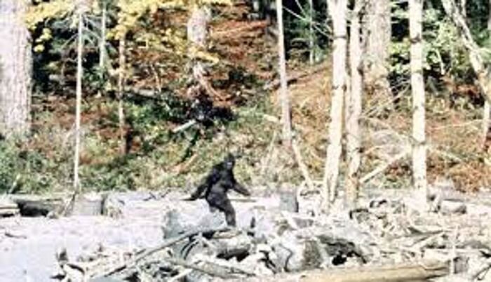 2BigFoot в США

Американцы описывают своего BigFoot как агрессивное существо ростом 210 до 300 сантиметров, с кроваво-красными глазами размером с серебряный доллар и ужасным зловонием. Говорят, оно даже нападало на людей в 70-х.