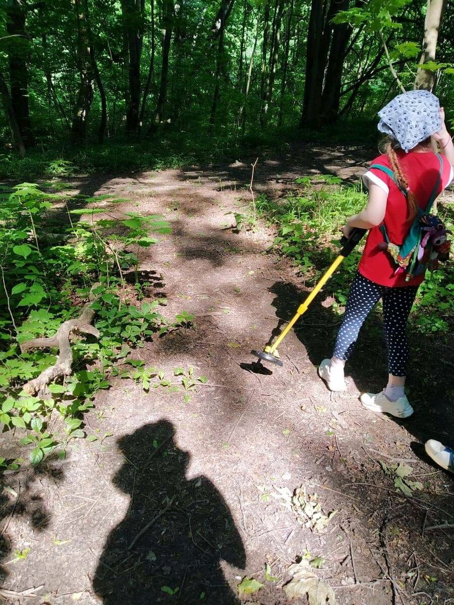 Процесс поисков) 