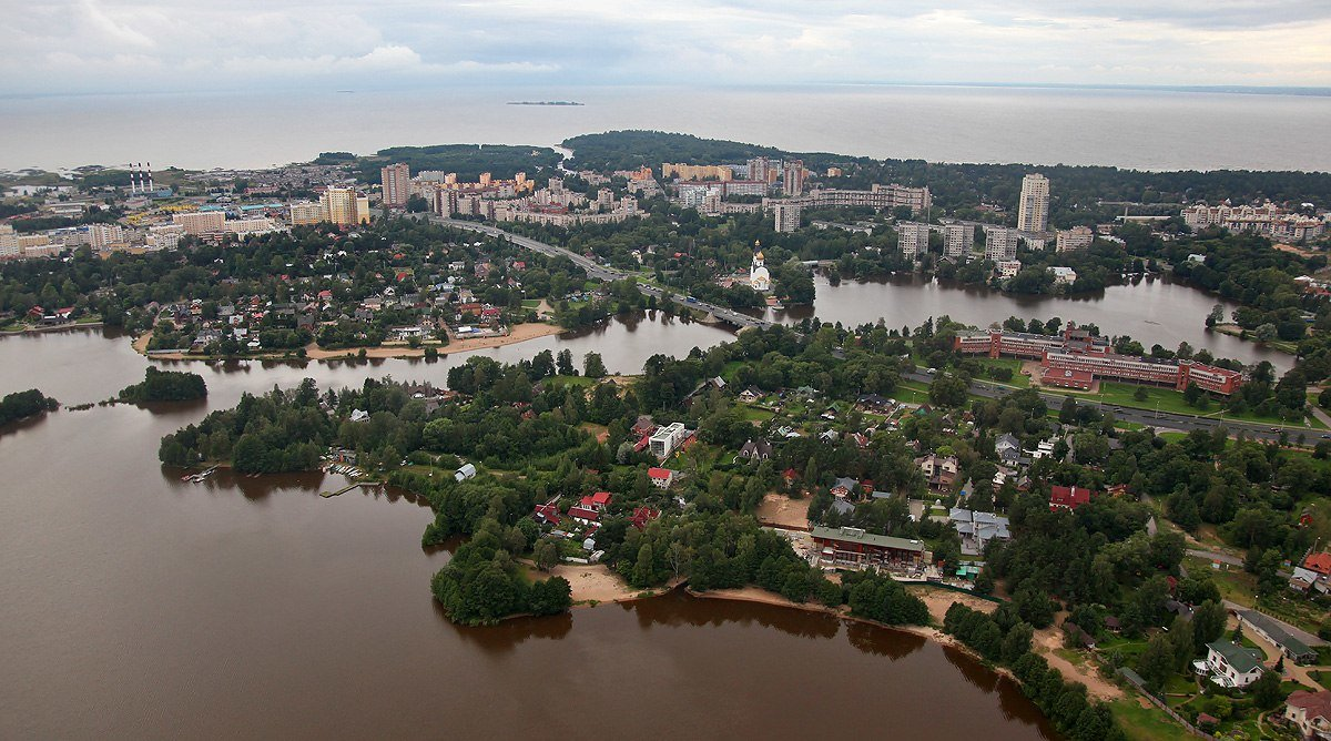 Фото: Яндекс. Картинки 