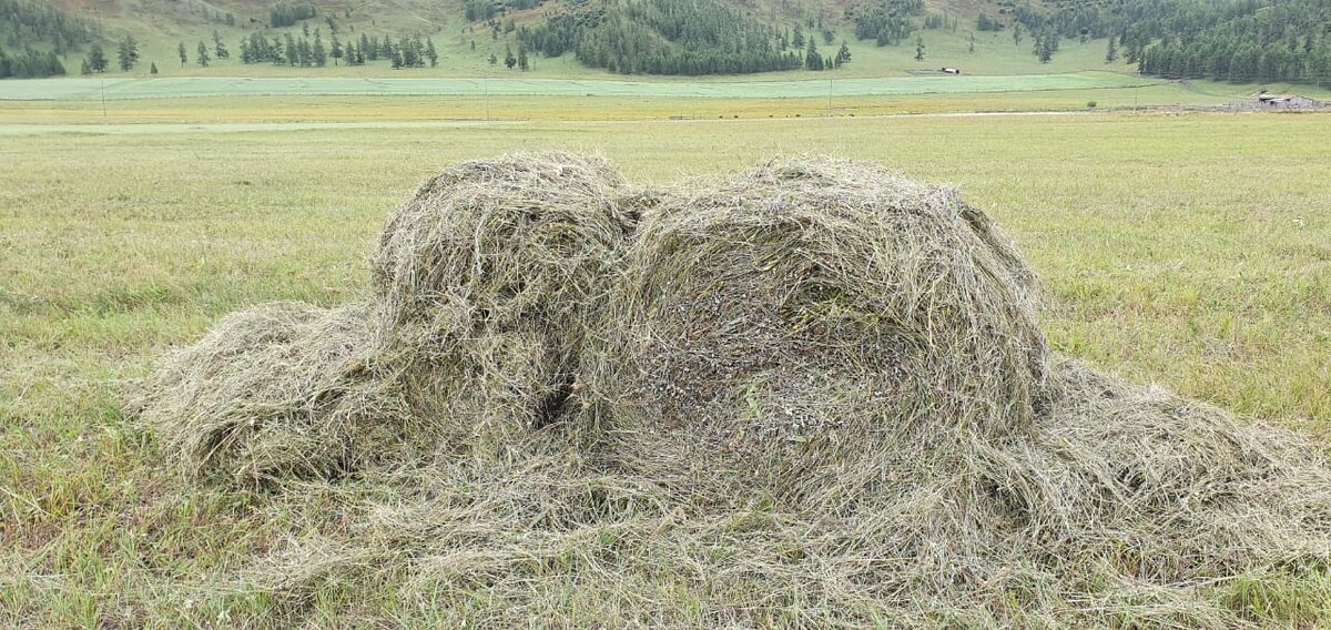 развалившееся тюк сена