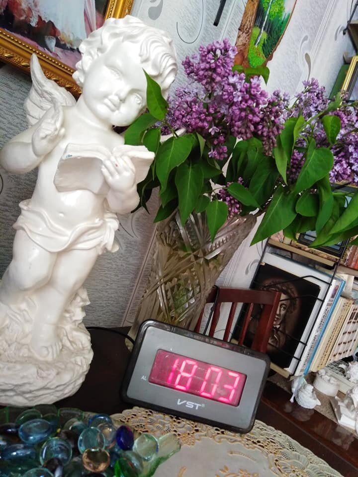  Фото из  архива автора.