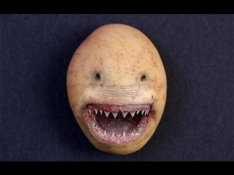 Фото для превью.