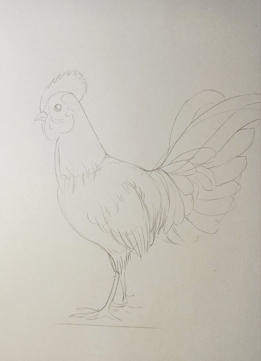 Прорисовку деталей простым карандашом делаем понасыщенней.