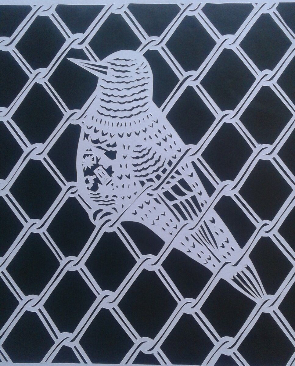 фото сделано мной