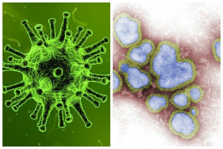 Фото: pixabay, unsplash