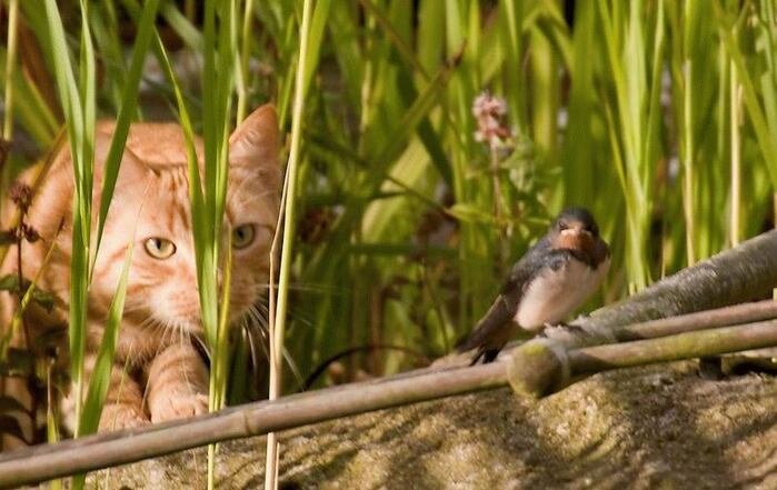 Фото взято из открытого источника для иллюстрации статьи