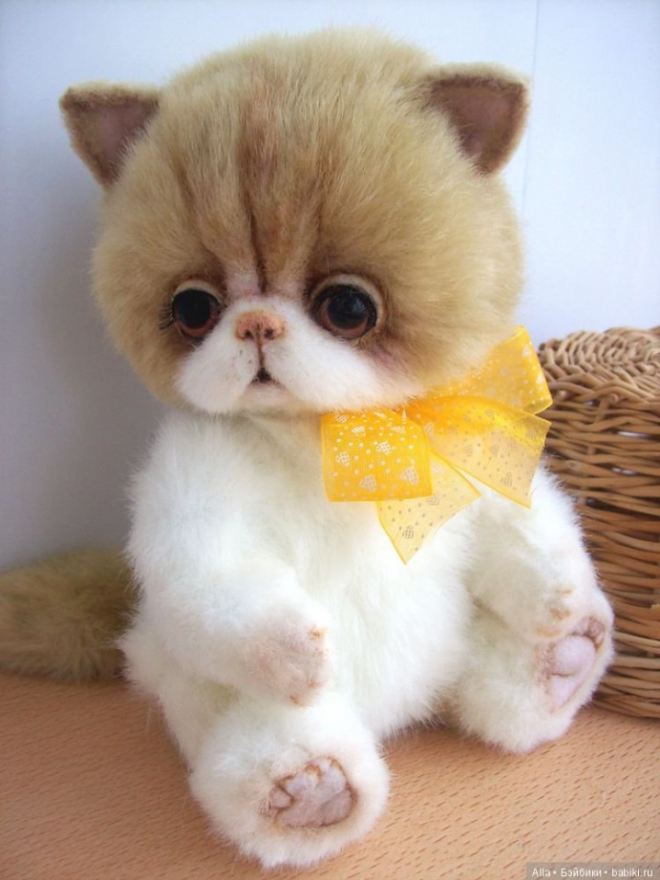 У этого кота мне нравится всё, кроме мордочки, но от него буду использовать только выкройку лапок. 