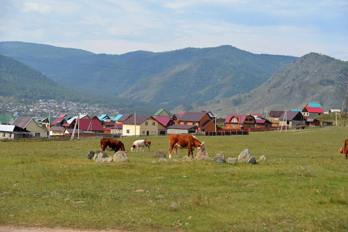 Алтай онгудай фото