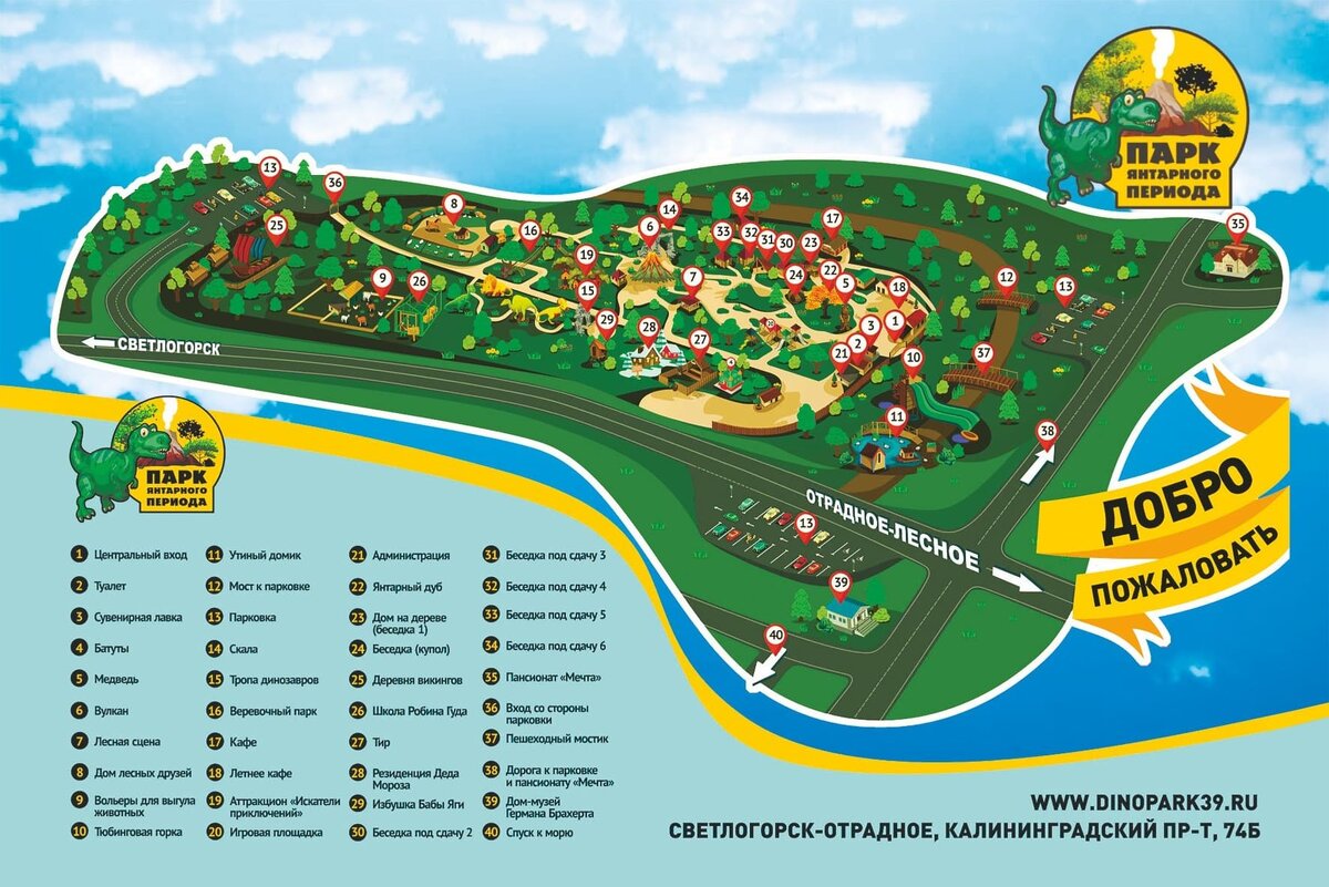 Картинка из интернета 