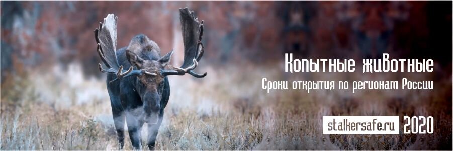 Источник https://stalkersafe.ru/blog/poleznye-stati/otkrytie-osenney-i-zimney-okhoty-v-2020-daty-po-regionam-rossii/