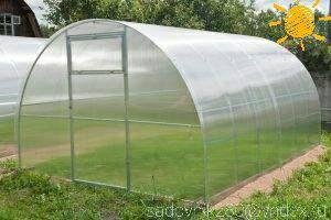 Теплица первогодка после душа .ФОТО-коллаж  автора Алесад
