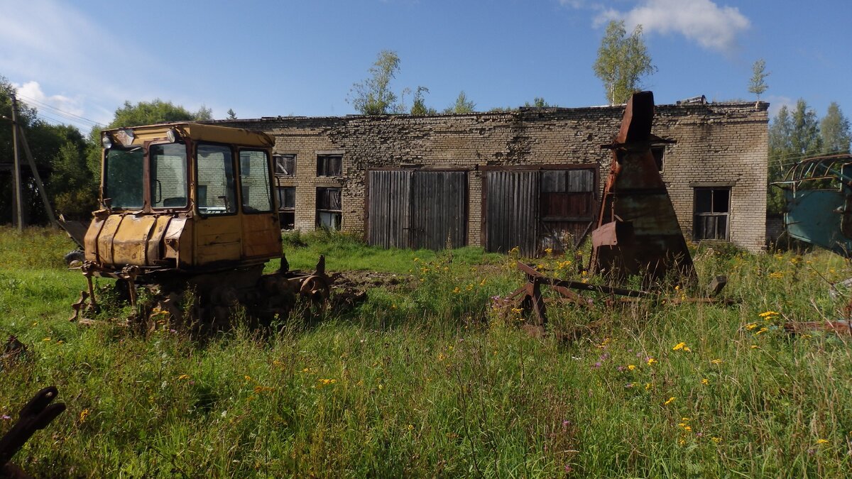 Все колхозы района продали государству зерно сверх плана колхоз рассвет