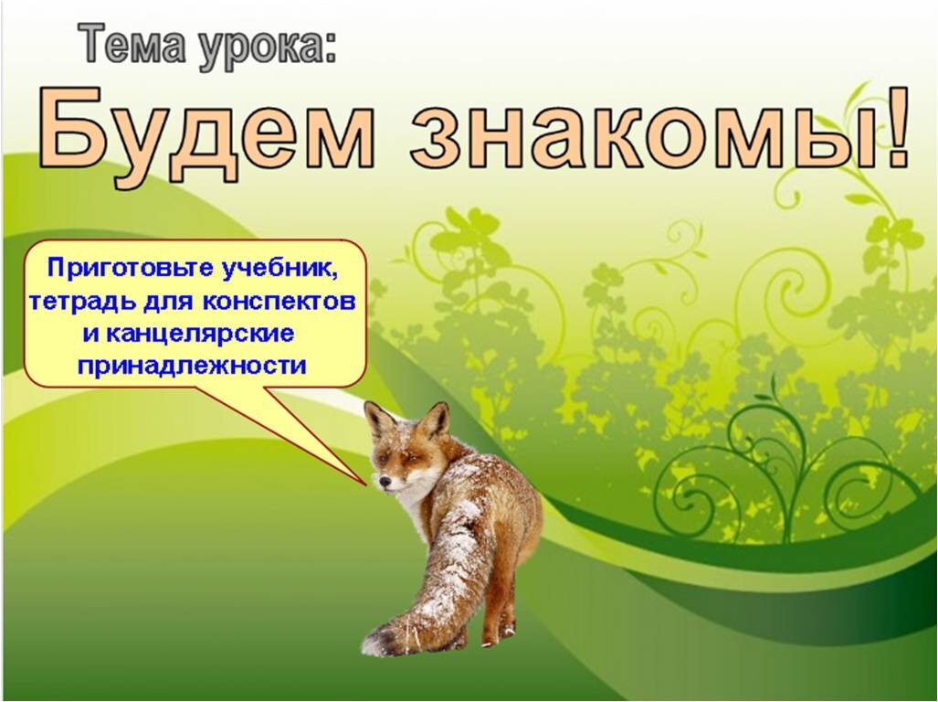 Такой титульный слайд встречает учеников на доске (экране)
