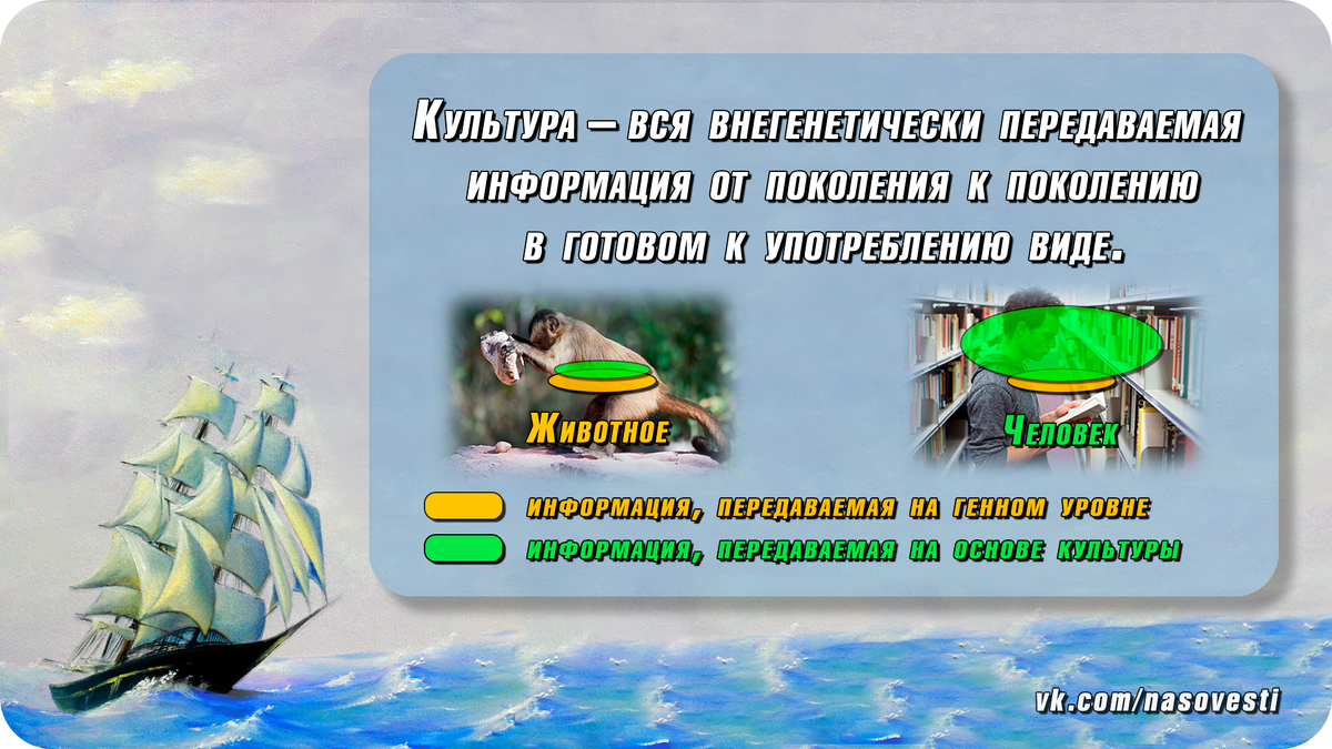 Определение культуры и его схематизация