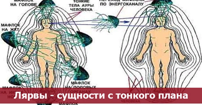 Виды сущностей. Мафлоки лярвы энергетические. Мафлоки лярвы энергетические паразиты человека. Астральные сущности лярвы. Сущности тонкого плана.