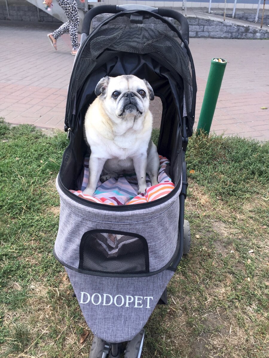 Это мы в ожидании рентгена. На улице. Сонька страшно нервничает в больницах