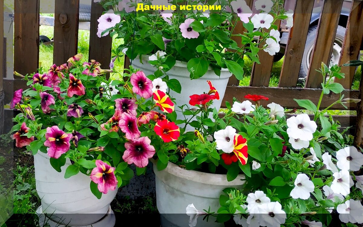 https://vk.com/photo-159774511_457244425