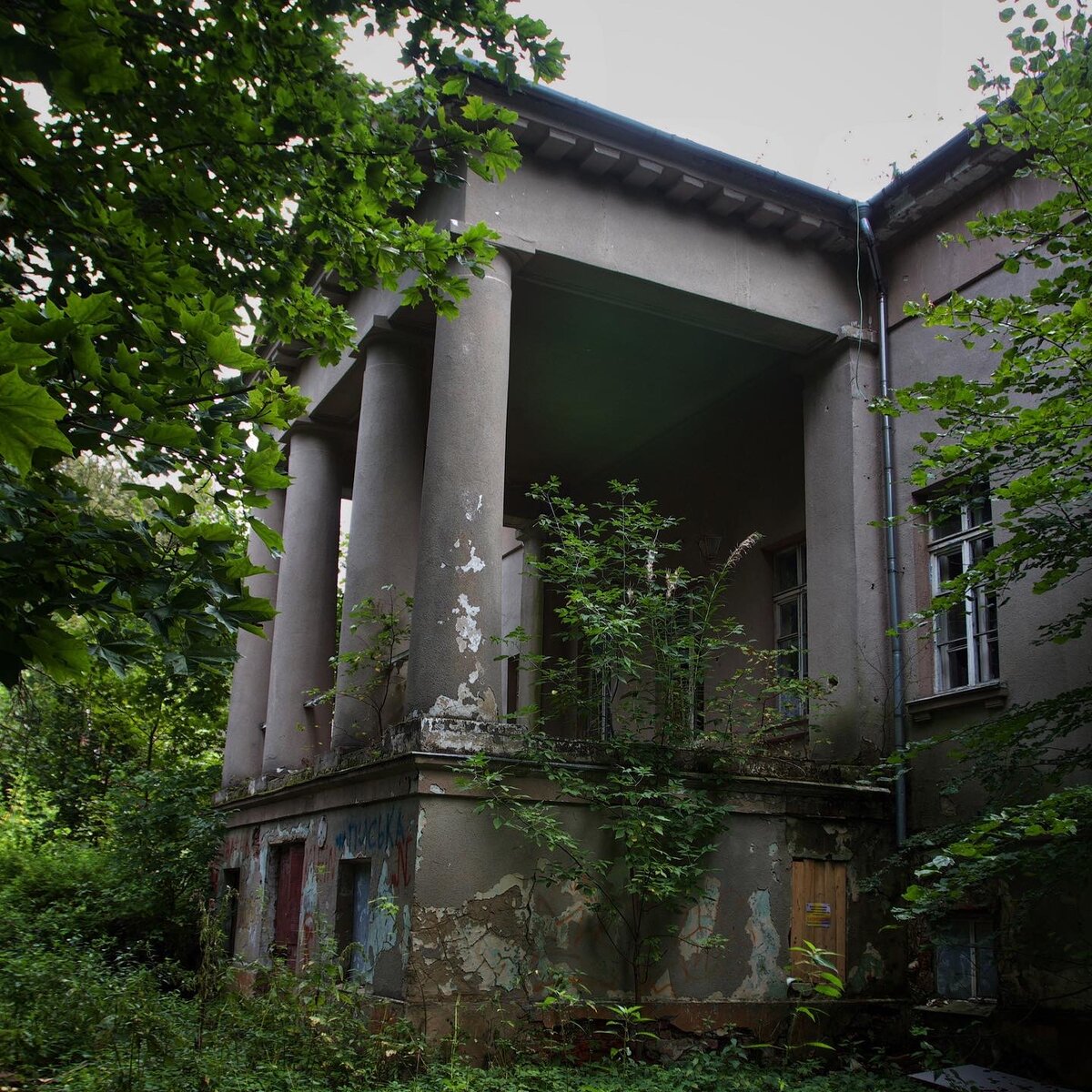 чехов деревня васькино