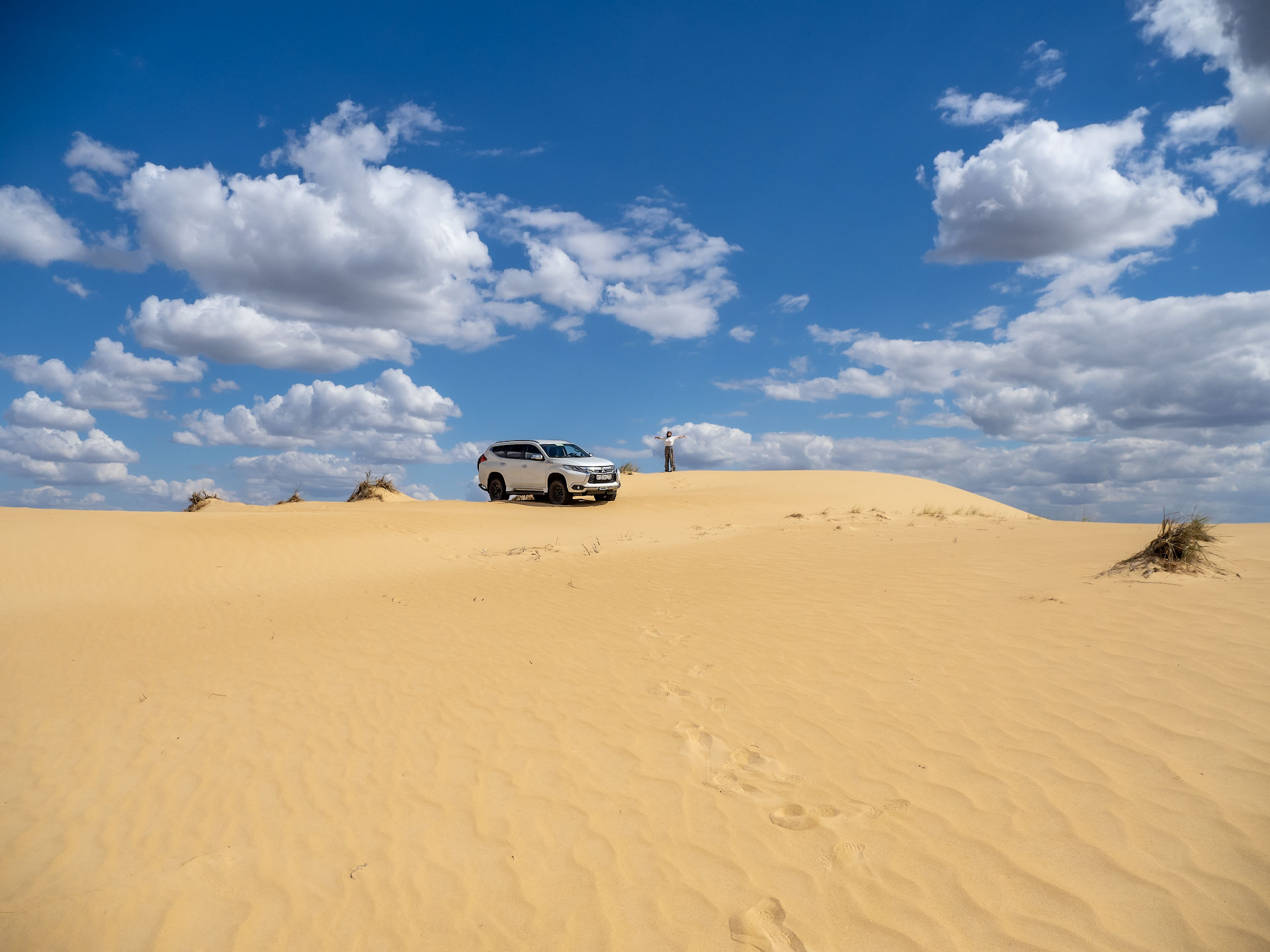 Desert на русском. Пустыня Арчединско-Донские Пески. Арчединско Донской Пески. Пустыня Чарские Пески климат. Урочище Арчединские Пески.