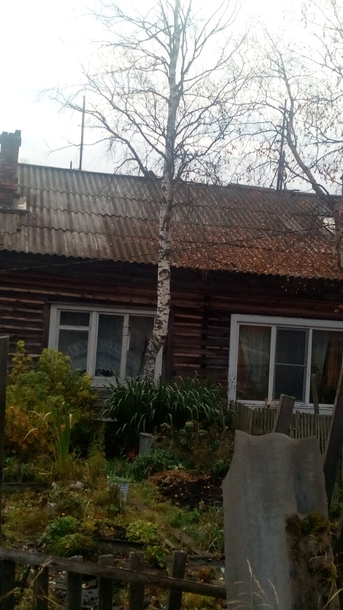 вот так она выглядела в этом году