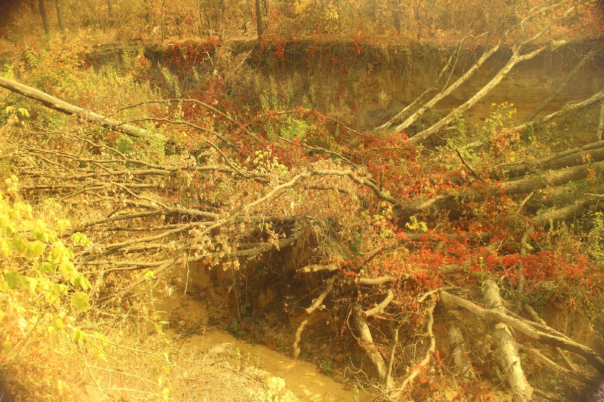 Посмотрите, какие краски