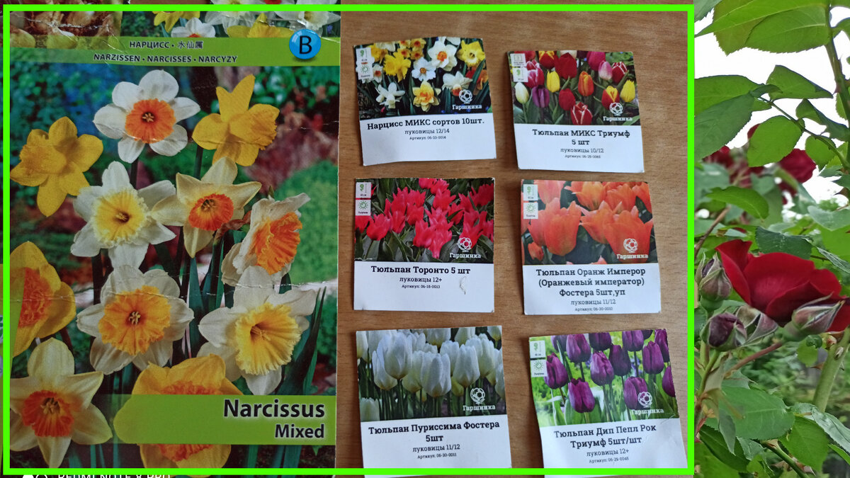 Ставьте "Класс" и подписывайтесь на канал!