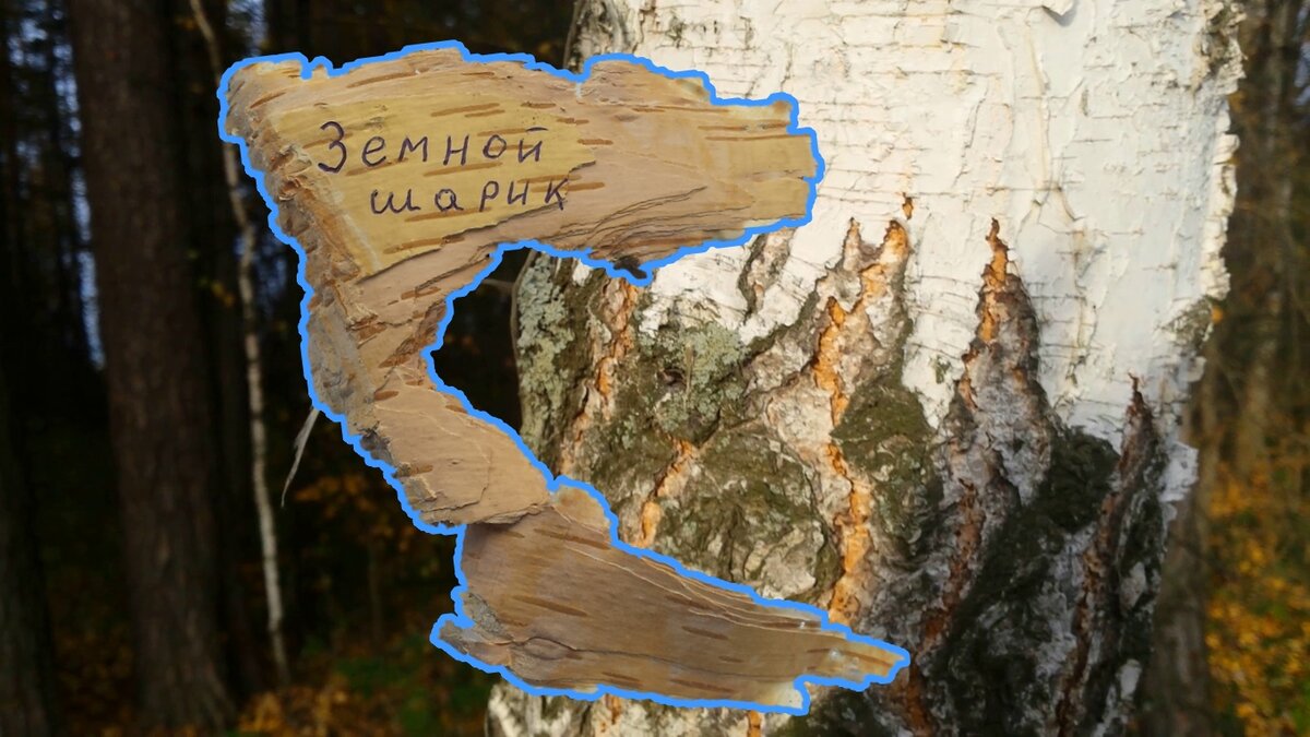 Найдена надпись моего канала на бересте))