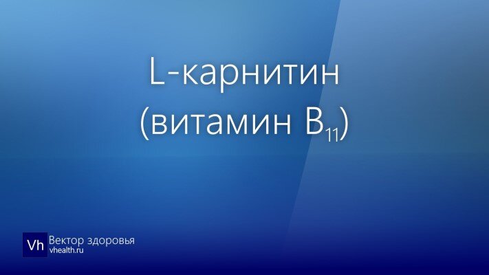 L-карнитин (витамин B11)