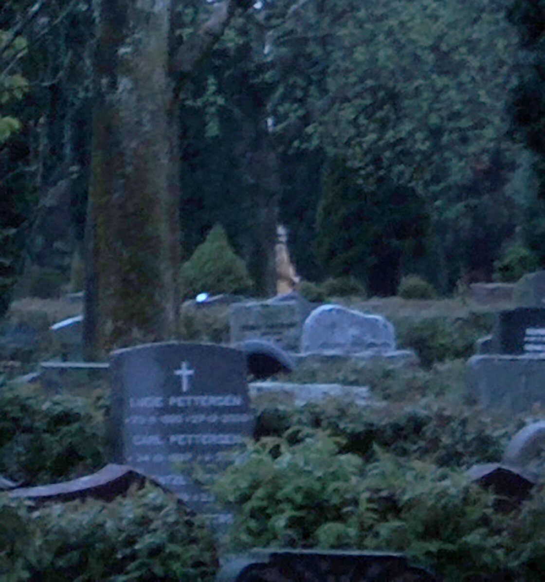 Настоящие призраки на кладбище