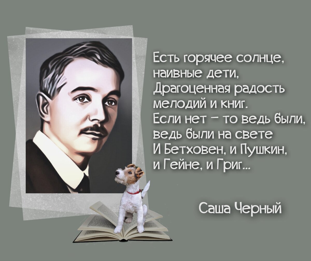 140 лет со дня рождения Саши Черного, поэта Серебряного века, прозаика,  сатирика, журналиста (1880-1932). | Книжный мiръ | Дзен