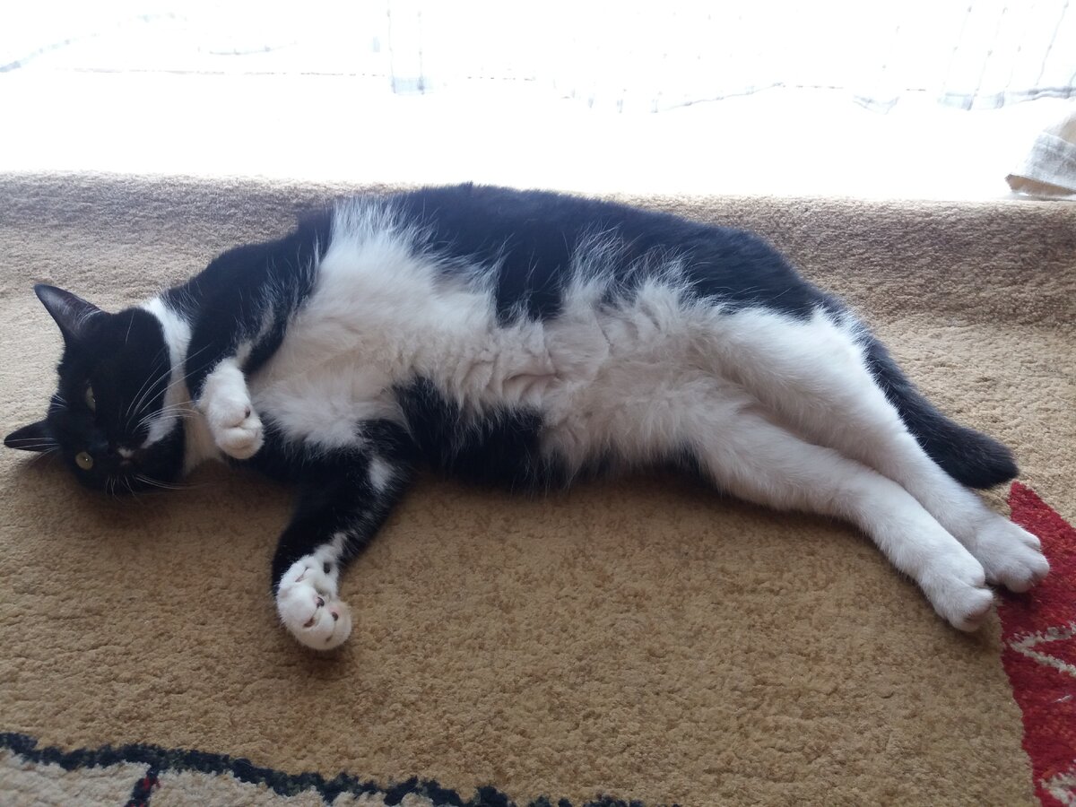 Бусинка 4 года Фото из личного архива.