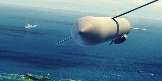 Рисунок ракеты 9M730 «Буревестник»