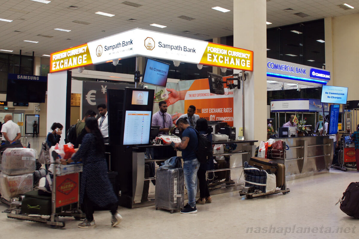 Источник: https://nashaplaneta.net/