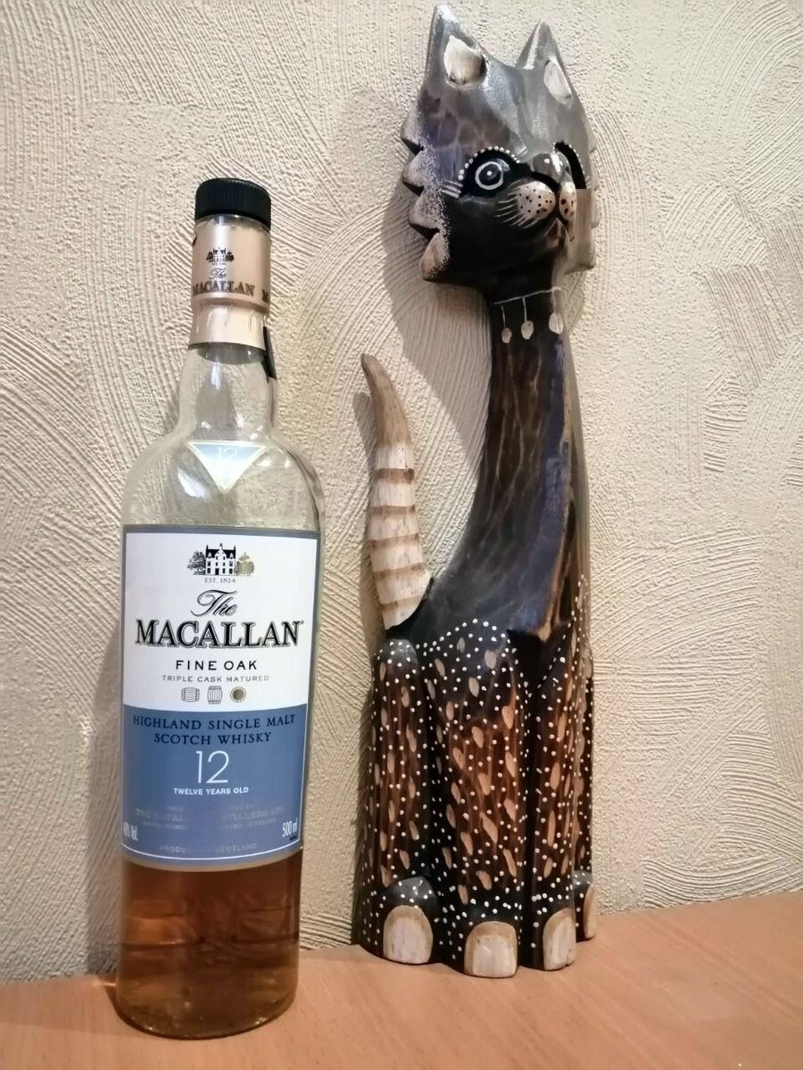 Фото автора, кот на страже